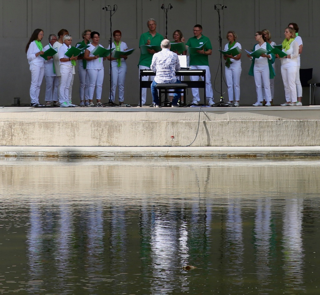 Unser Chor in auf der Bühne© Claudia Dimmer
