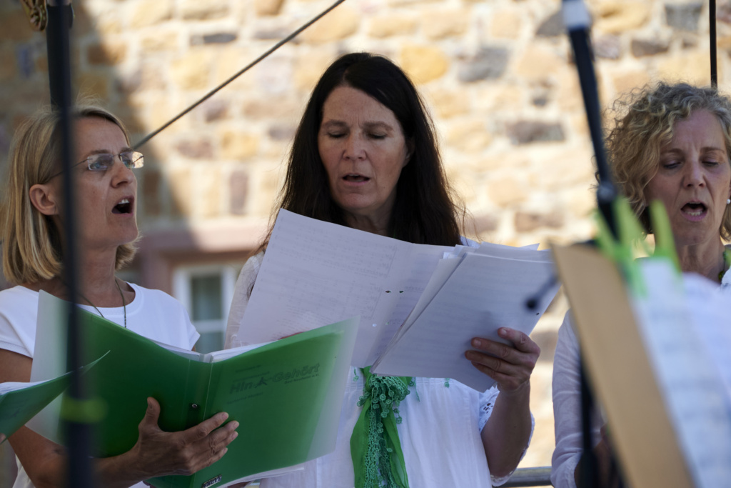 Auftritt am 10.6.
Wetterauer Chortage